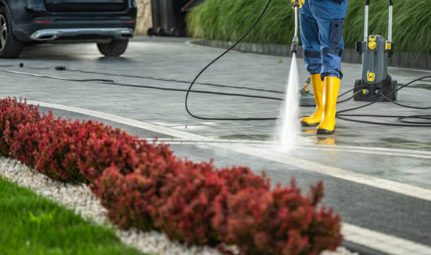 Best Residential Pressure Washing Services  in Whitmire, SC