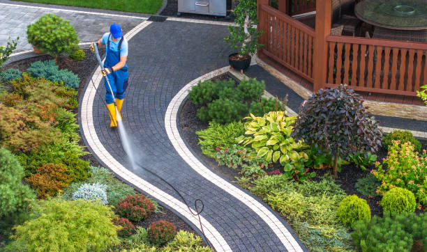 Best Pressure Washing Driveway  in Whitmire, SC